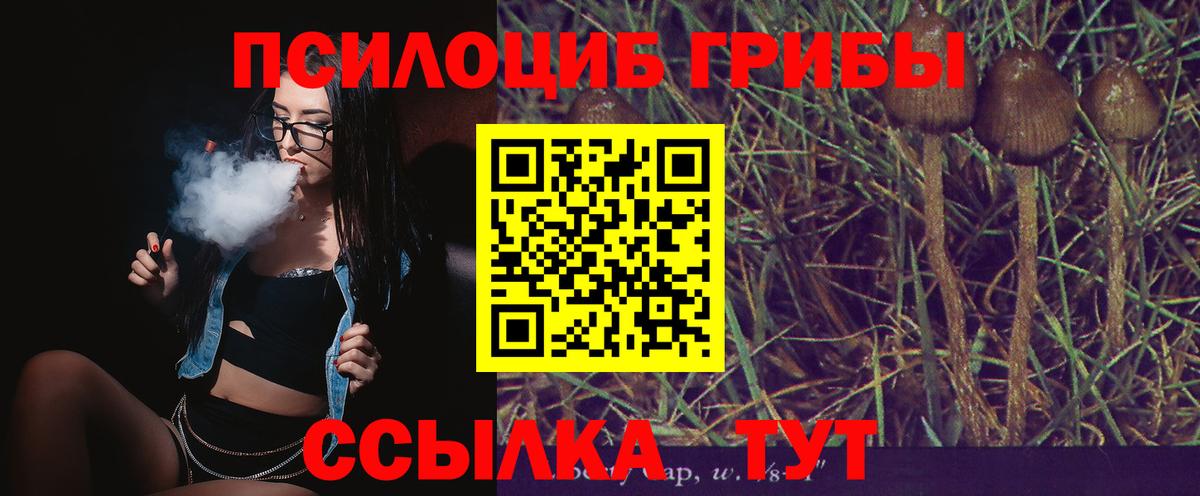Галлюциногенные грибы Cubensis Ефремов